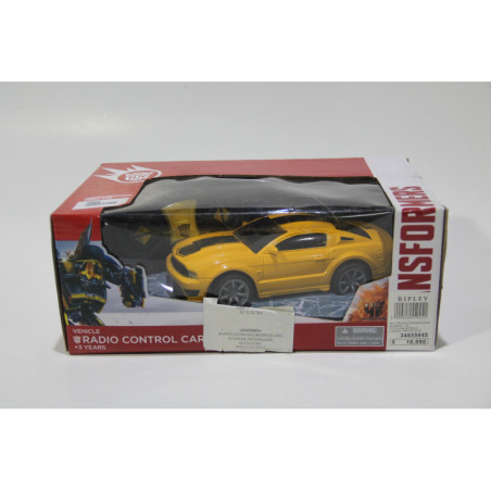 Bumblebee Radio Control